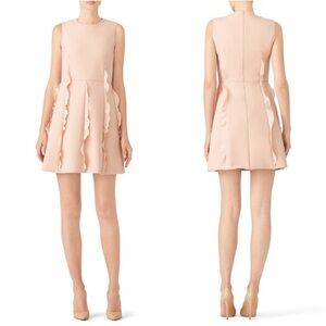 Red Valentino Pink Ruffle Skirt Dress Sz L